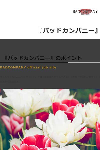 『バッドカンパニー』のポイント