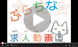 プラチナ求人動画